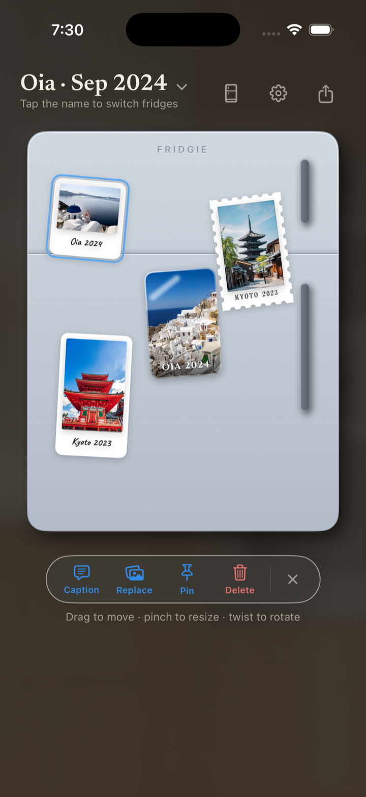 Fridgie dark-mode magnet editing controls
